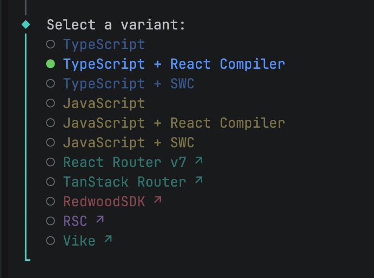 Vite React 선택 옵션