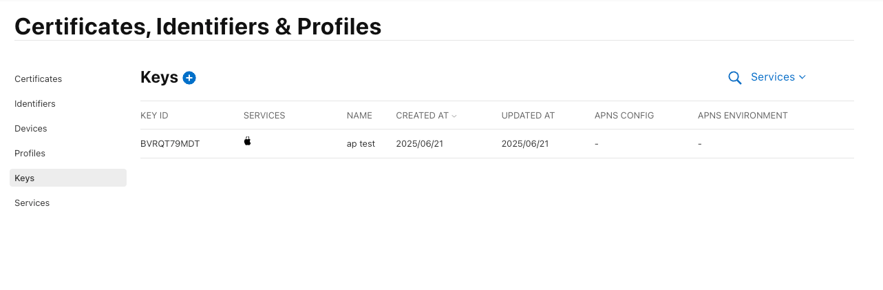 Apple Developer의 Keys 목록과 추가 버튼